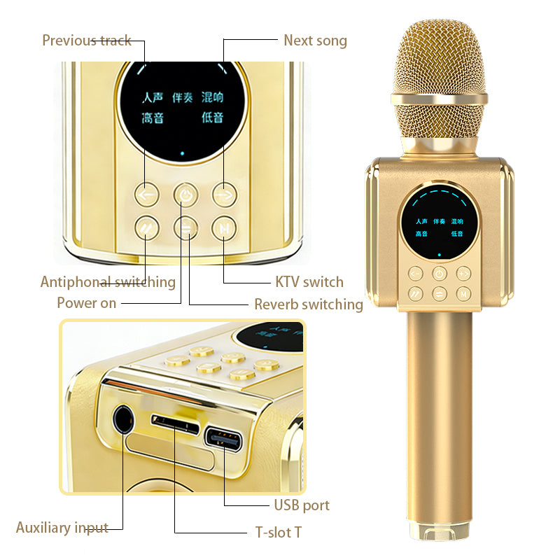 TOSING G5 Portable Karaoke Microphone with Speaker, 80W High-Power Sound, Bluetooth Handheld Mic for Parties, Singing, Home & Outdoor Use