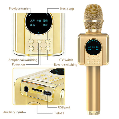 TOSING G5 Portable Karaoke Microphone with Speaker, 80W High-Power Sound, Bluetooth Handheld Mic for Parties, Singing, Home & Outdoor Use