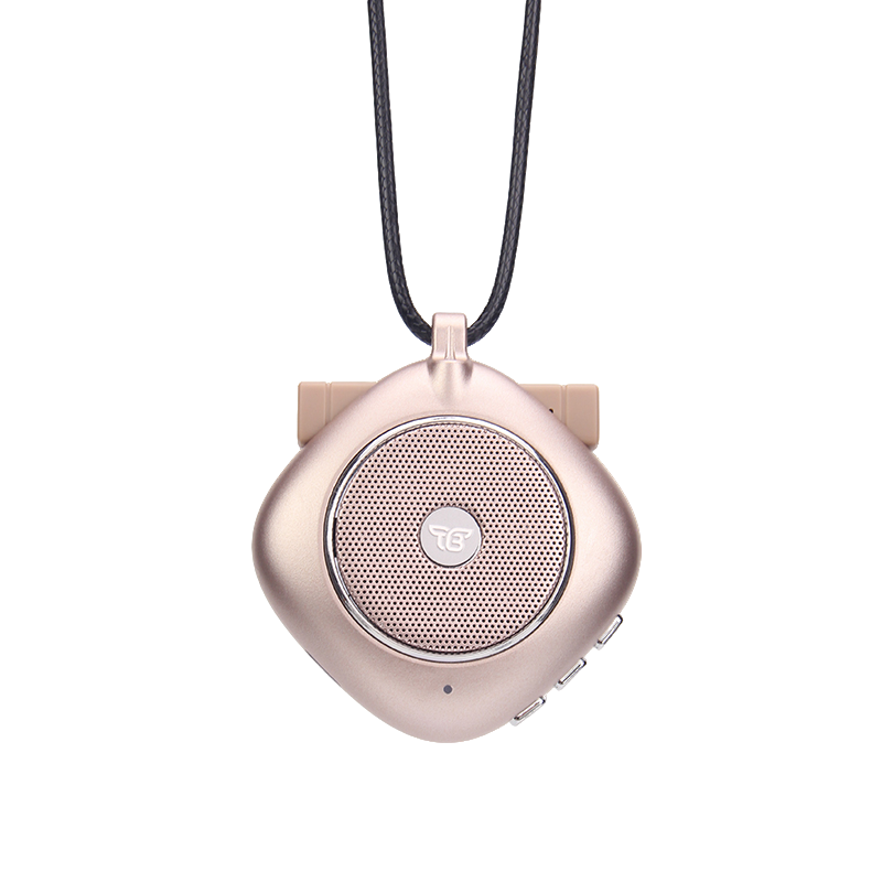 TransBee T1｜Traductor con IA de doble micrófono diseñado para entornos ruidosos: voz nítida en viajes, mercados y reuniones